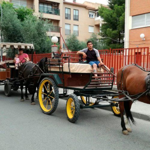 Paseo en carruaje para 10 personas