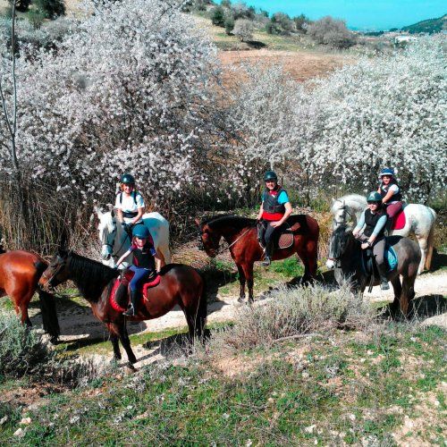 Ruta a caballo con comida en Mesón Asador Casa Carmelo