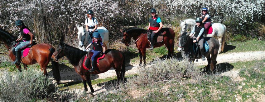 Turismo Ecuestre y Ocio en Ocaña Turismo Ecuestre y Ocio en Ocaña