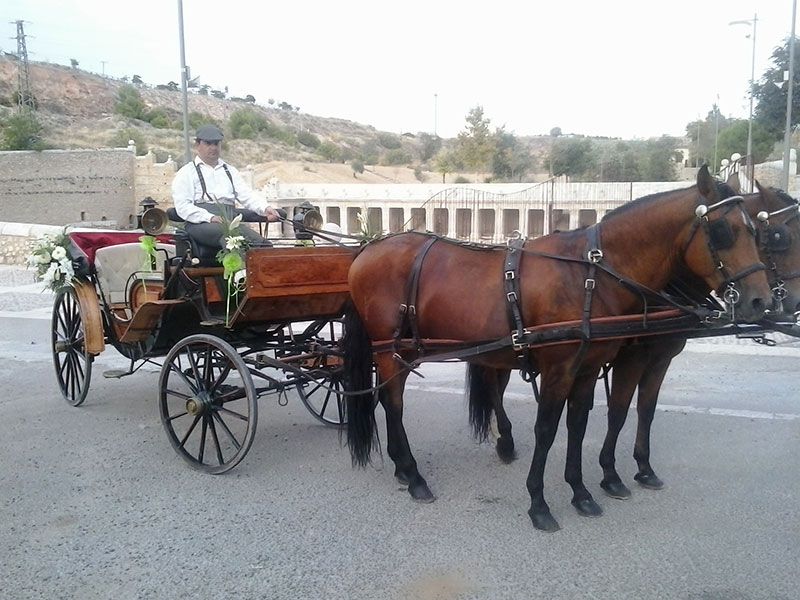 servicio de carruaje en Ocaña